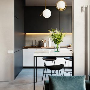 Modern Black and White Kitchens UV Lacquer with Particle Board-GK-048