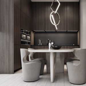 Modern brown kitchen 003
