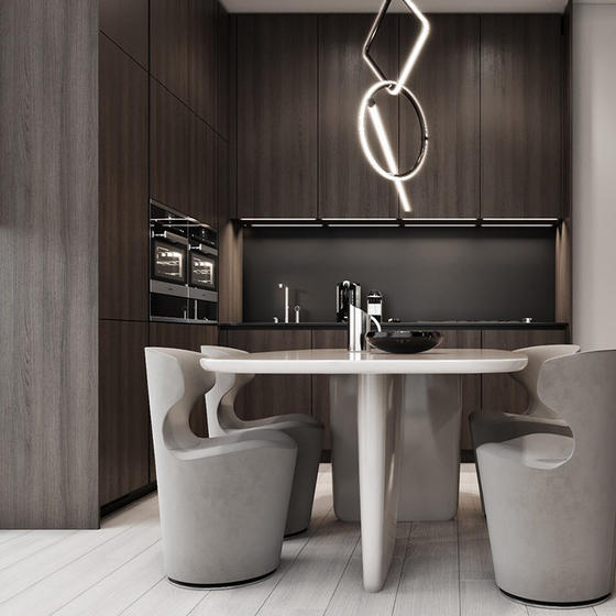 Modern brown kitchen 003